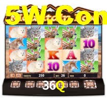 36Q Bet
