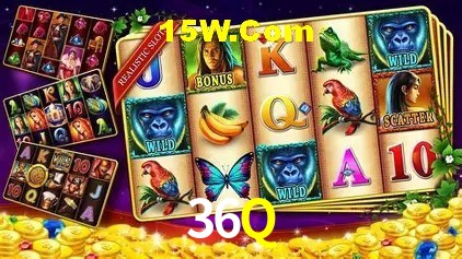 36Q Salvador - Promo Stats